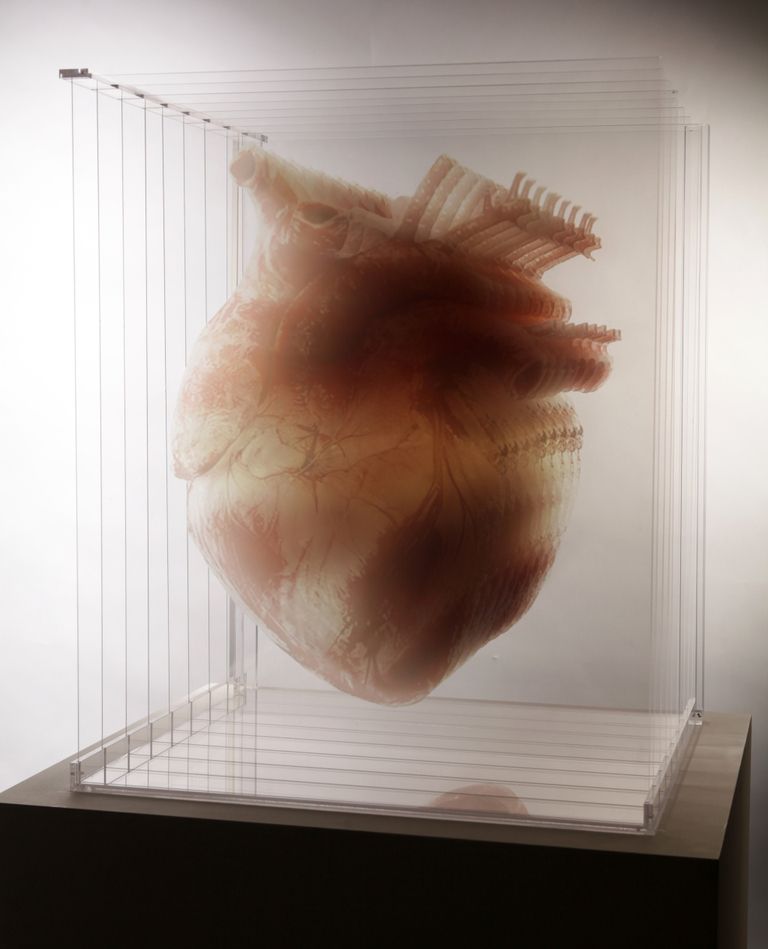 홍익대대학원섬유패션