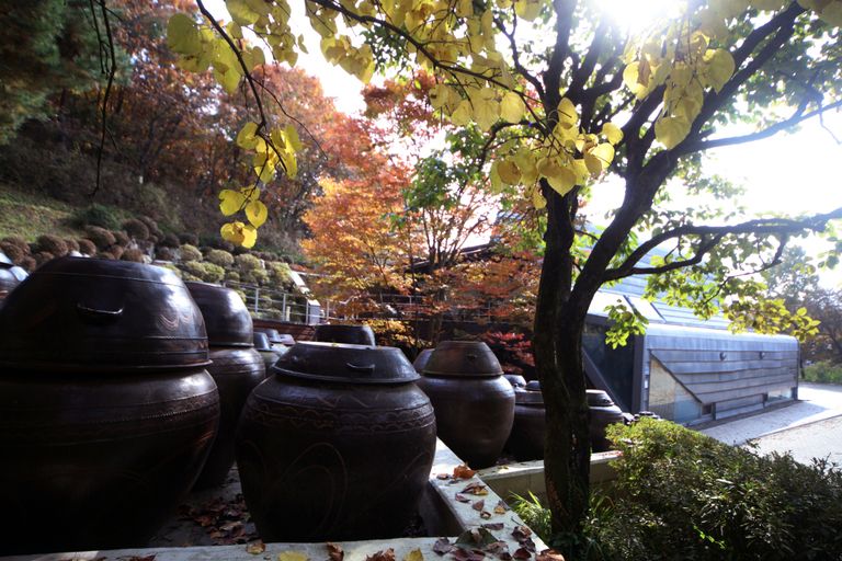 한향림옹기박물관/전시장